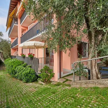 Alin * 马尔切西内